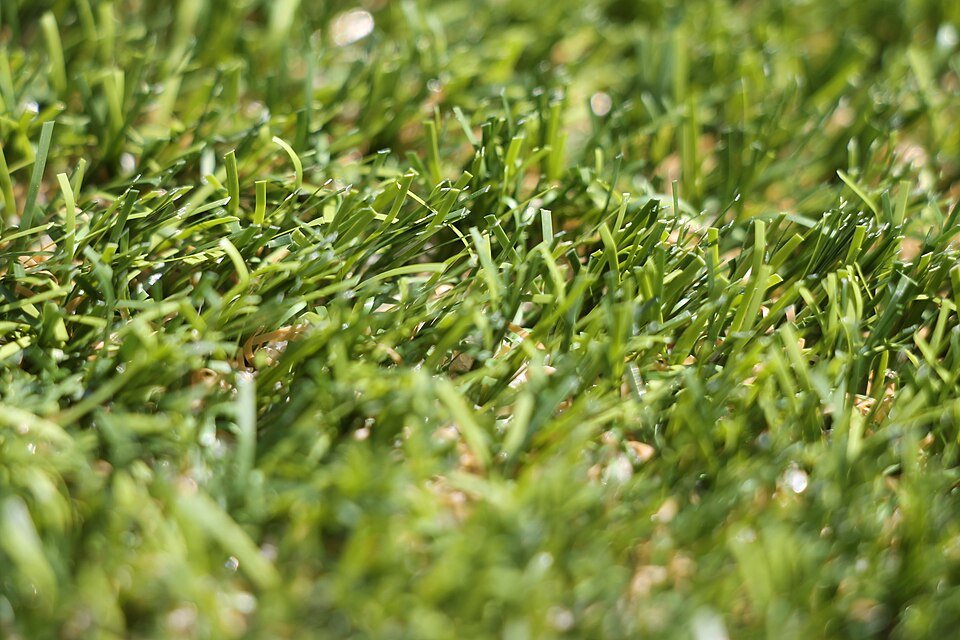 Close-up of realistic artificial grass pile